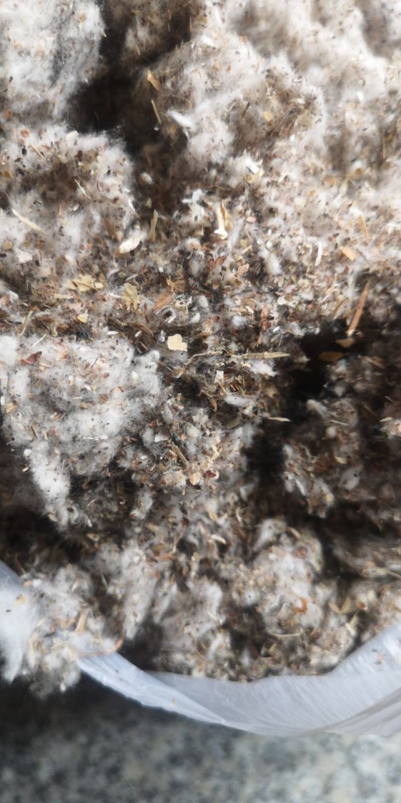 江西九江棉壳渣，适应品种菇壳绒较中细