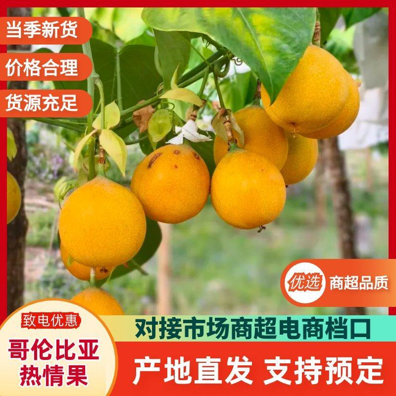 热带水果哥伦比亚热情果又称甜西番莲，欢迎咨询