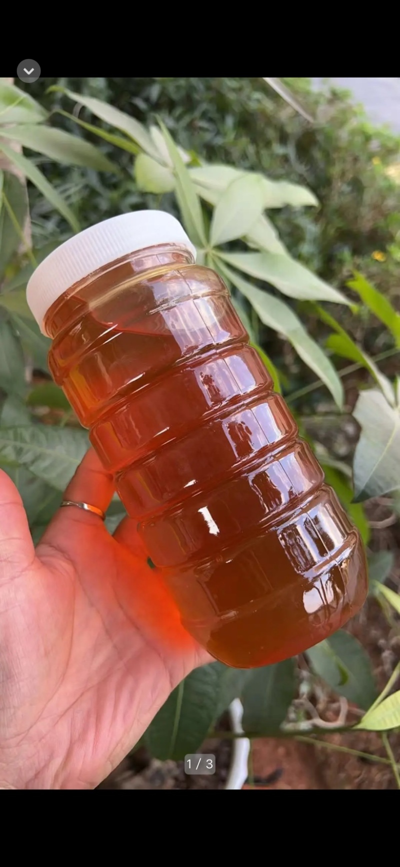 缅甸野蜂蜜