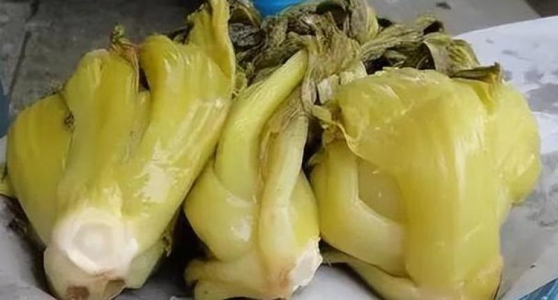大量出售腌制广州叶芥菜