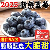 云南蓝莓/一件代发/淘宝/拼多多/京东/直播/全平台对接
