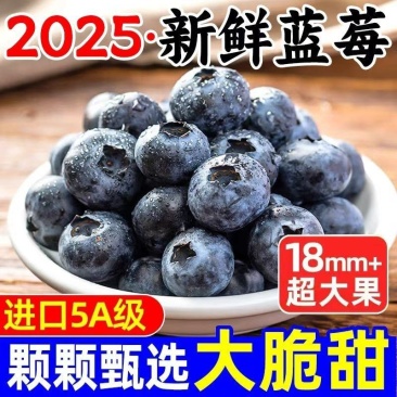 云南蓝莓/一件代发/淘宝/拼多多/京东/直播/全平台对接