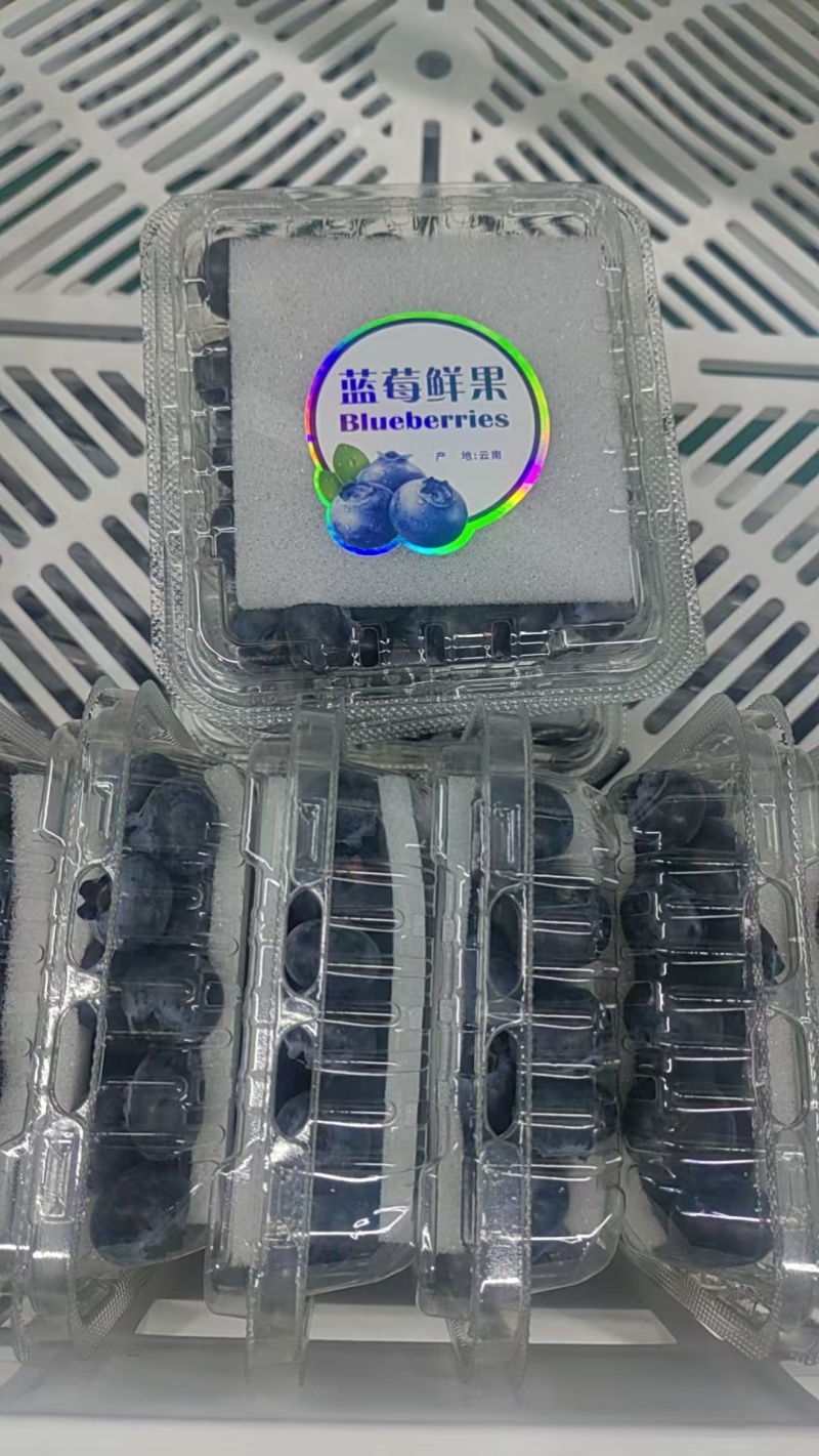 云南蓝莓/一件代发/淘宝/拼多多/京东/直播/全平台对接