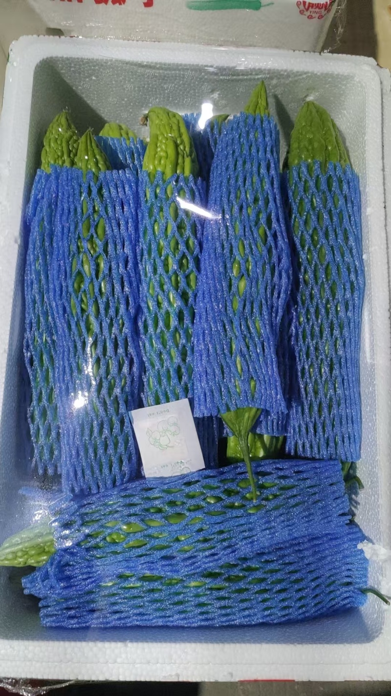 精品苦瓜