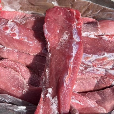 去筋膜三号肉（母猪）实拍支持样品看货