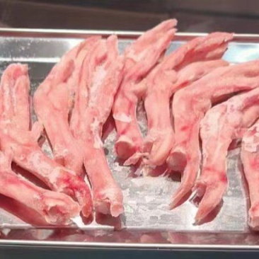 鹅掌21个左右