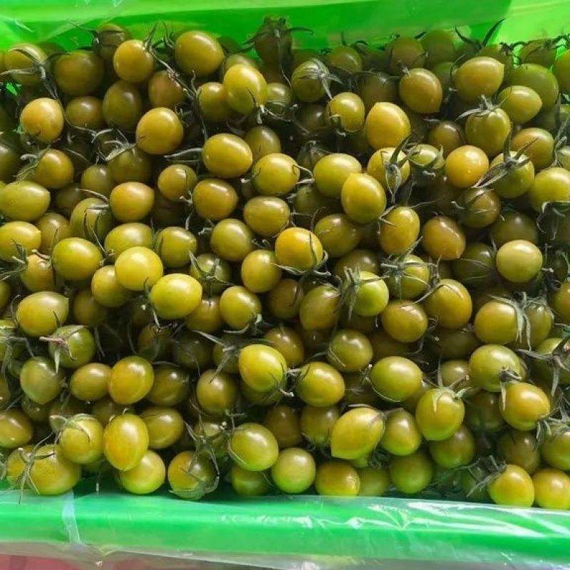 青甜2号小番茄大量上市全国发货，欢迎进店沟通