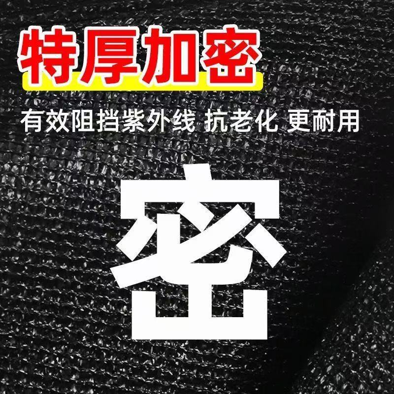 40针遮阳网遮阳网抗老化新料大棚菌类种植