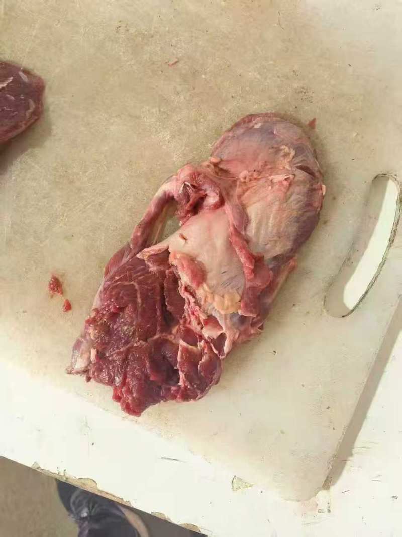 牛小脸/山东牛脸/阳新县牛小脸肉/一手货源现杀现发