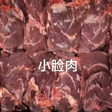 牛小脸/山东牛脸/阳新县牛小脸肉/一手货源现杀现发