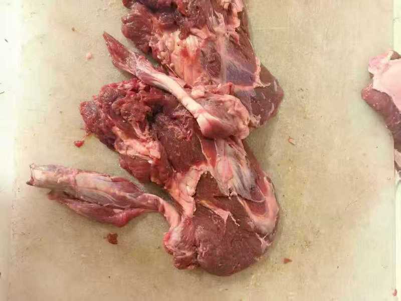牛小脸/山东牛脸/阳新县牛小脸肉/一手货源现杀现发