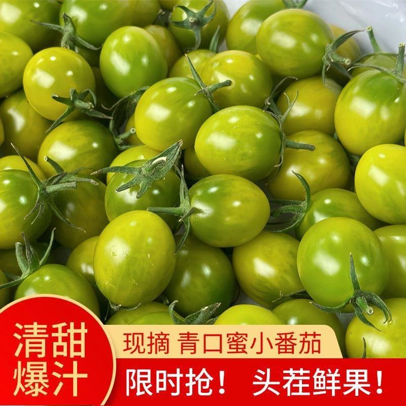 青口蜜小番茄大量上市全国发货，欢迎今天沟通