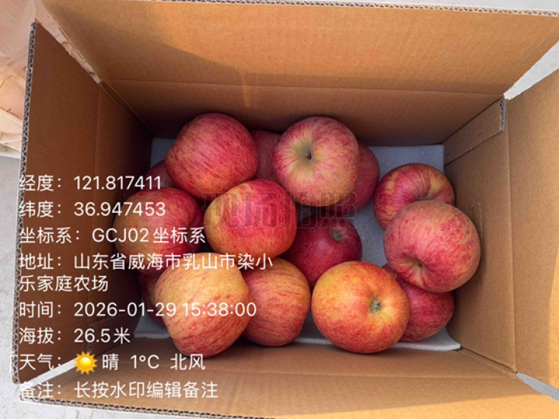 山东九瑶苹果