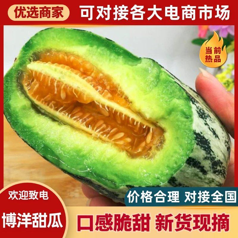 博洋甜瓜规格齐全量大从优产地直发保甜可包找车欢迎致电