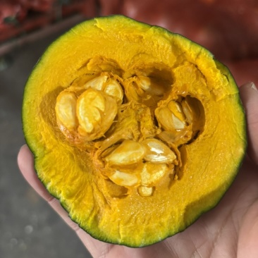 寿光贝贝南瓜