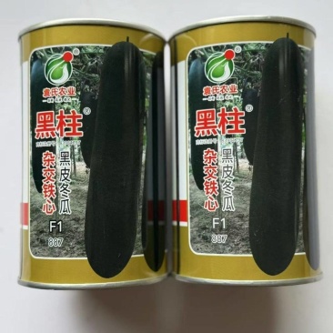 黑柱铁心冬瓜种长果炮弹形杂交黑皮冬瓜肉厚腔小耐储运特高产
