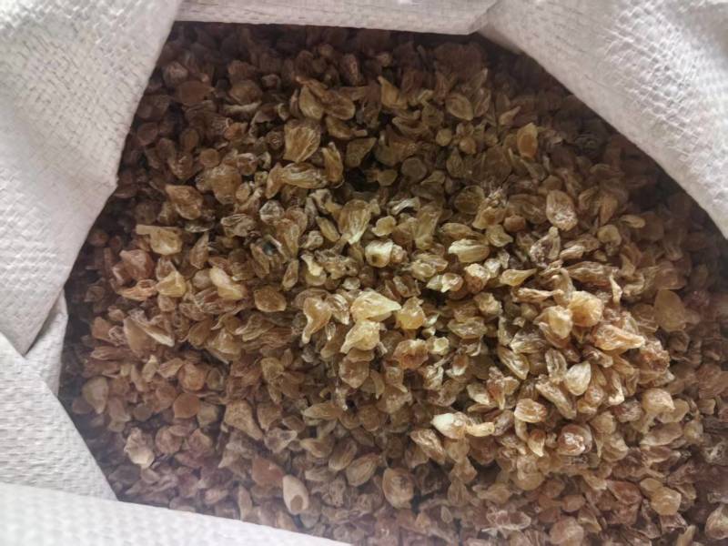 薤白干薤白野生干薤白产地直供一手货源量大从优欢
