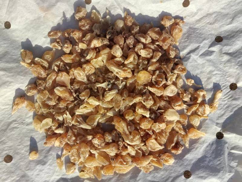 薤白干薤白野生干薤白产地直供一手货源量大从优欢