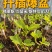 宽叶斯特拉苗大杯体进口土根系粗壮
