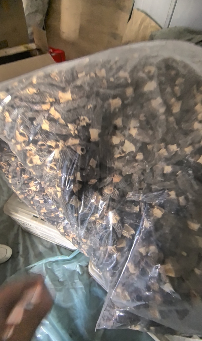 羊肚菌大量供应，山西高海拔种植，一手货源，保质保量，诚信