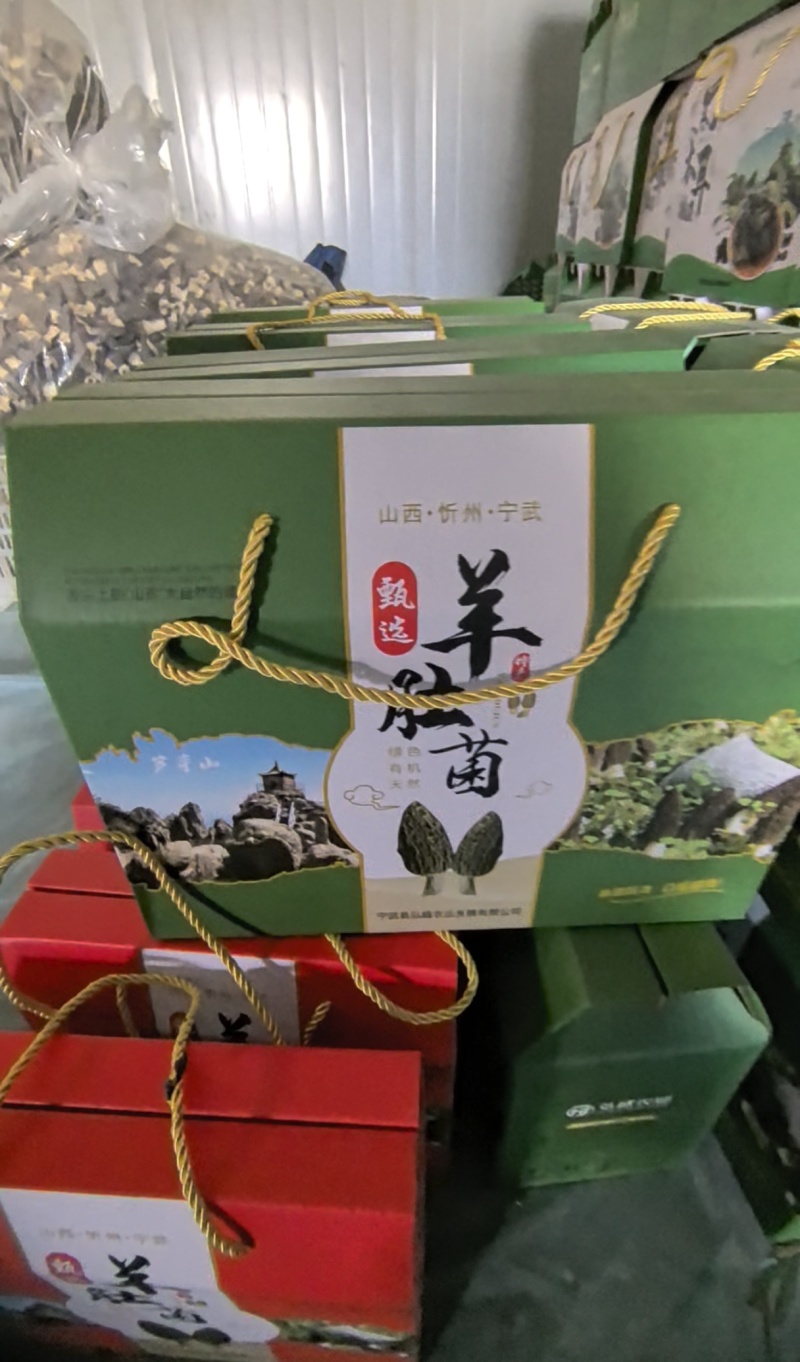羊肚菌大量供应，山西高海拔种植，一手货源，保质保量，诚信