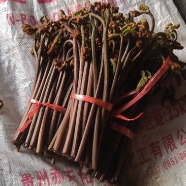 贵州野生蕨菜代收代办