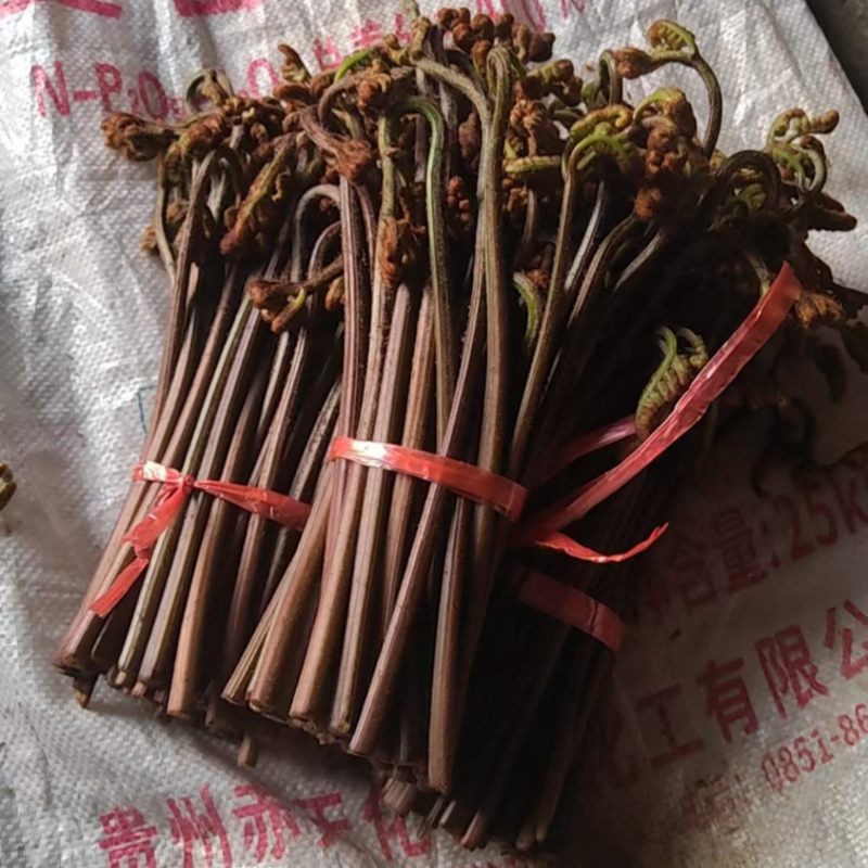 贵州野生蕨菜代收代办