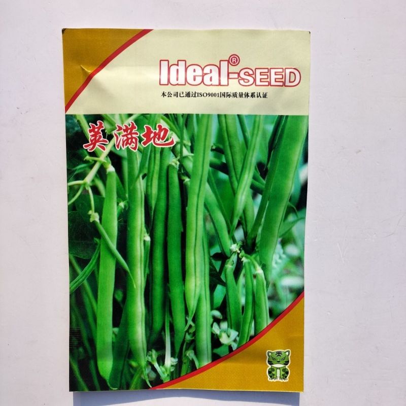 理想荚满地豆角种子鲜嫩无筋早熟高产农家春秋播种蔬菜种籽易