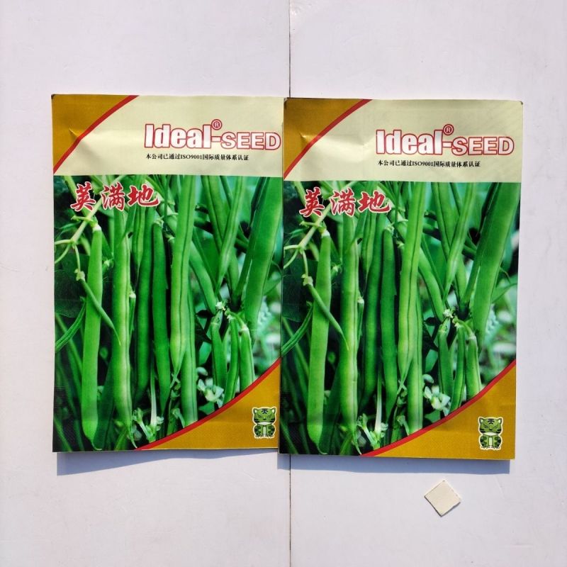 理想荚满地豆角种子鲜嫩无筋早熟高产农家春秋播种蔬菜种籽易