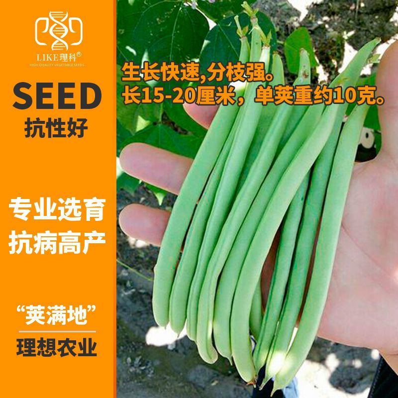 理想荚满地豆角种子鲜嫩无筋早熟高产农家春秋播种蔬菜种籽易