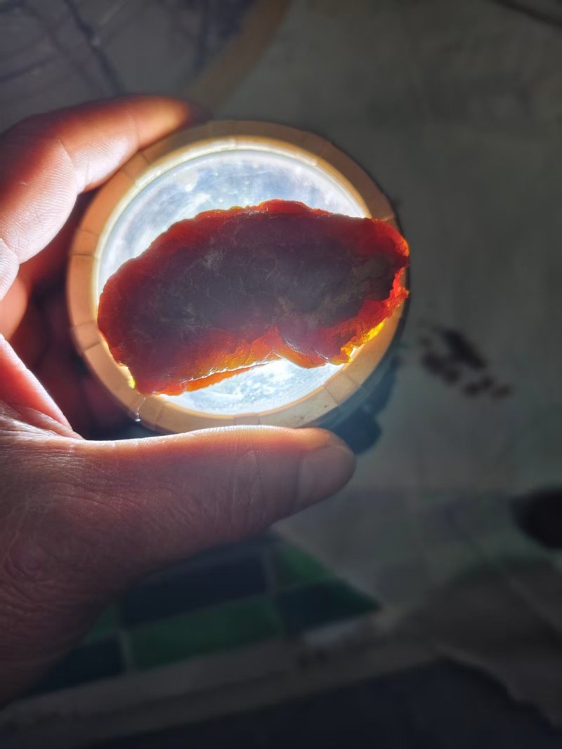 自家养的鸡产的鸡宝价格可谈欢迎老板来电