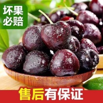 美早樱桃国产源头货源果园直发大量有货现货电商批发市场团购