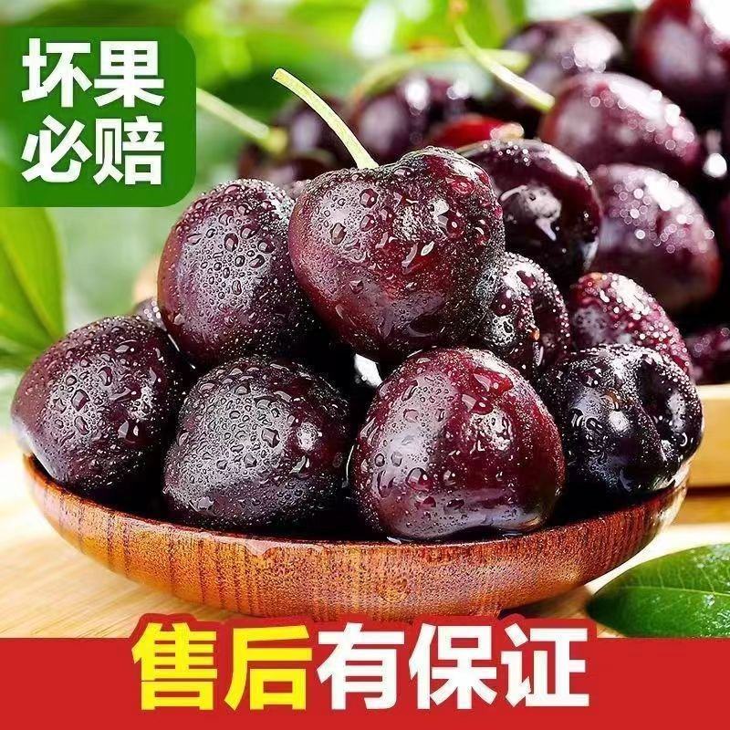 美早樱桃国产源头货源果园直发大量有货现货电商批发市场团购