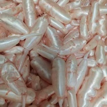 现有翘嘴鱼泡4吨，欢迎认购，规格234的鱼泡