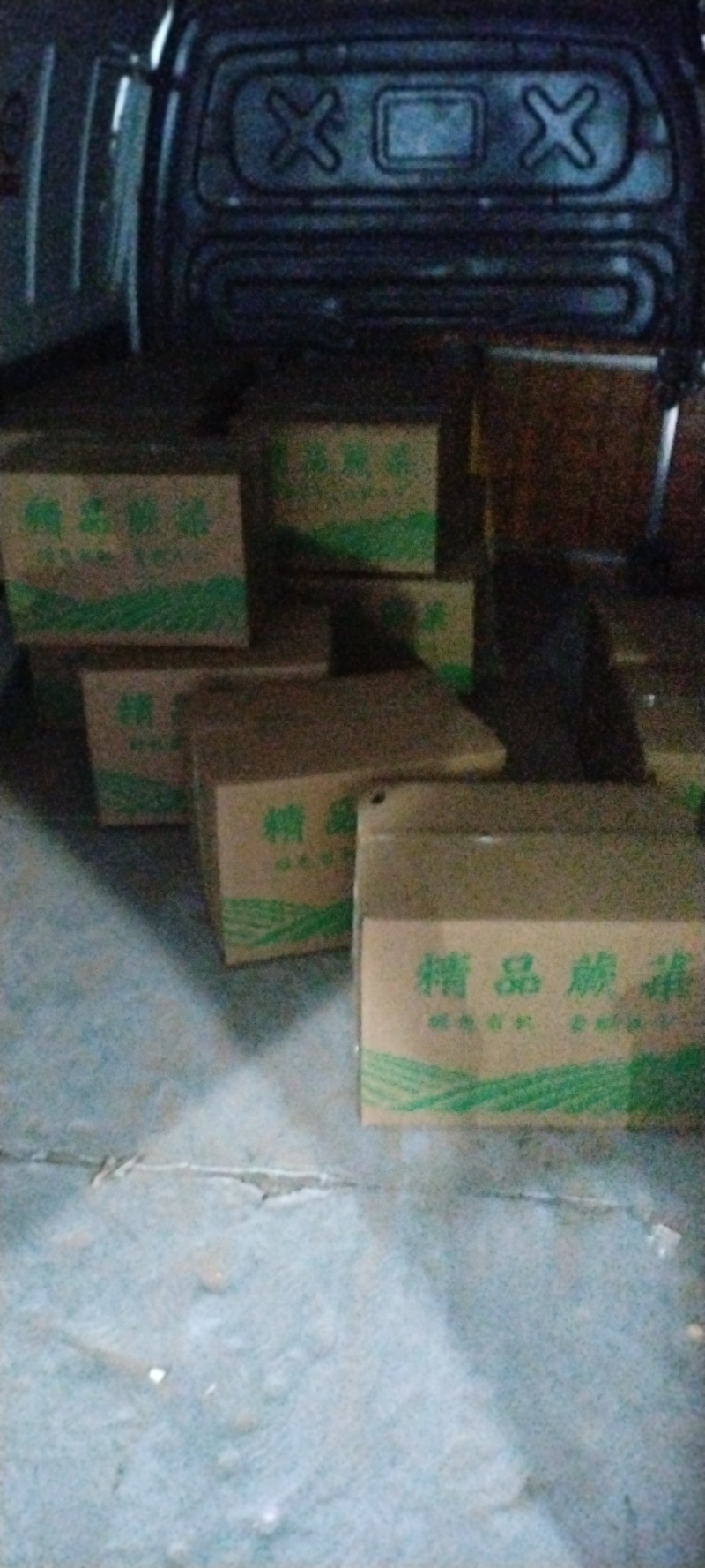野生鲜蕨菜龙爪菜现货供应高品质蕨菜