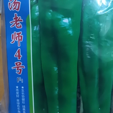 牛角椒种子汤老师四号1000粒/袋3袋以上包邮