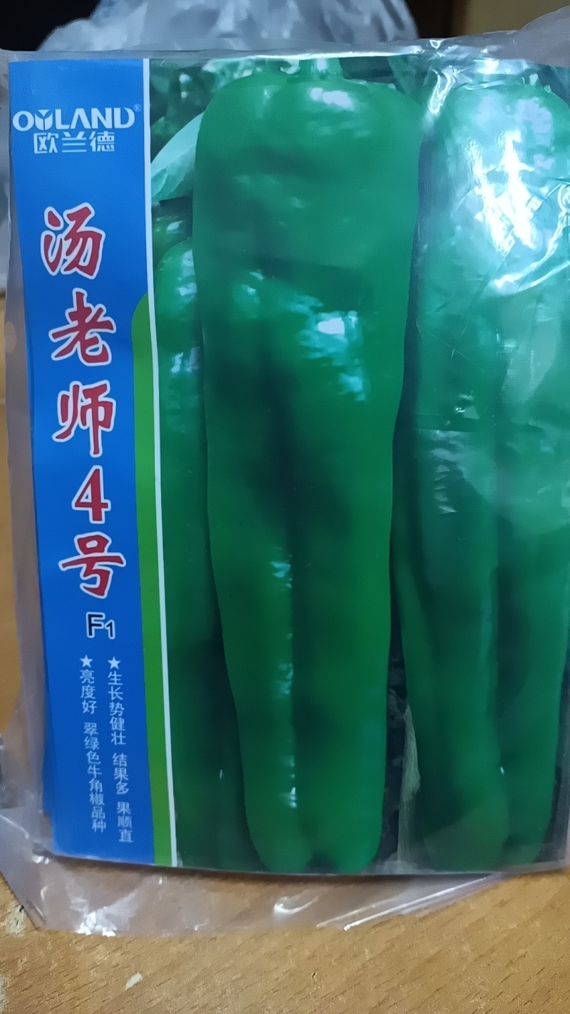 牛角椒种子汤老师四号1000粒/袋3袋以上包邮