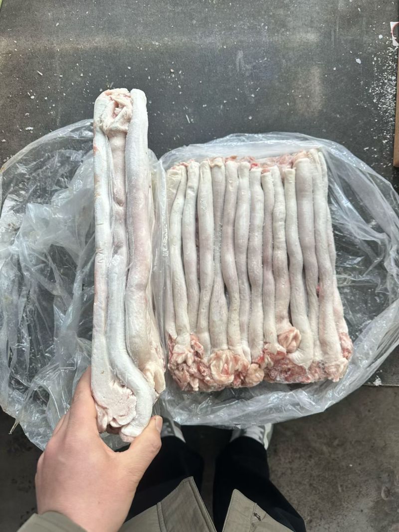 白食管