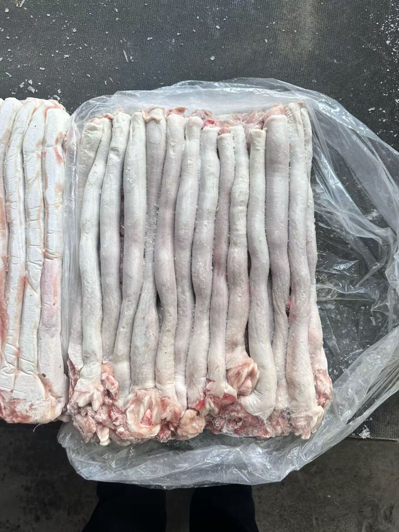 白食管