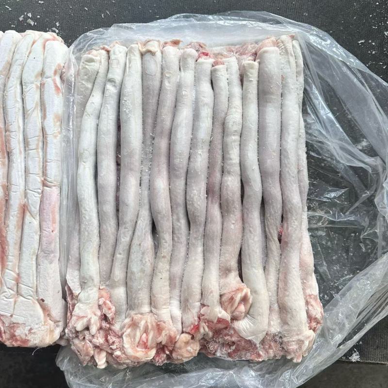 白食管