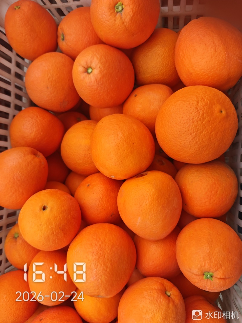 重庆奉节72一1脐橙，一手货源，货源充足，不干水，没花皮