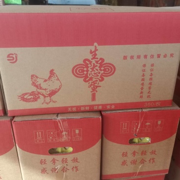 36-37.40-41纸箱土鸡蛋