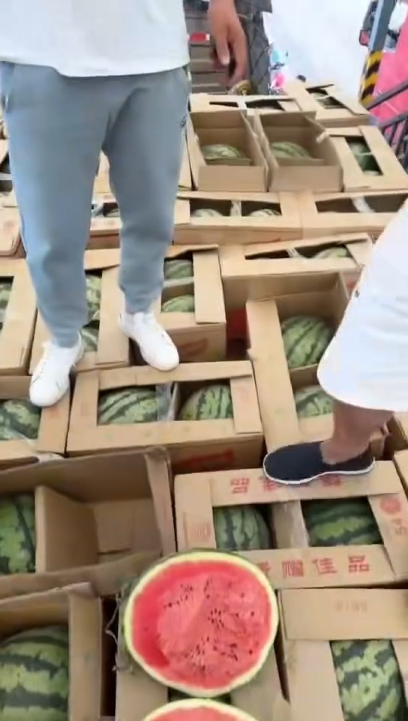 云南麒麟西瓜大量接单产地直发量大从优欢迎来电