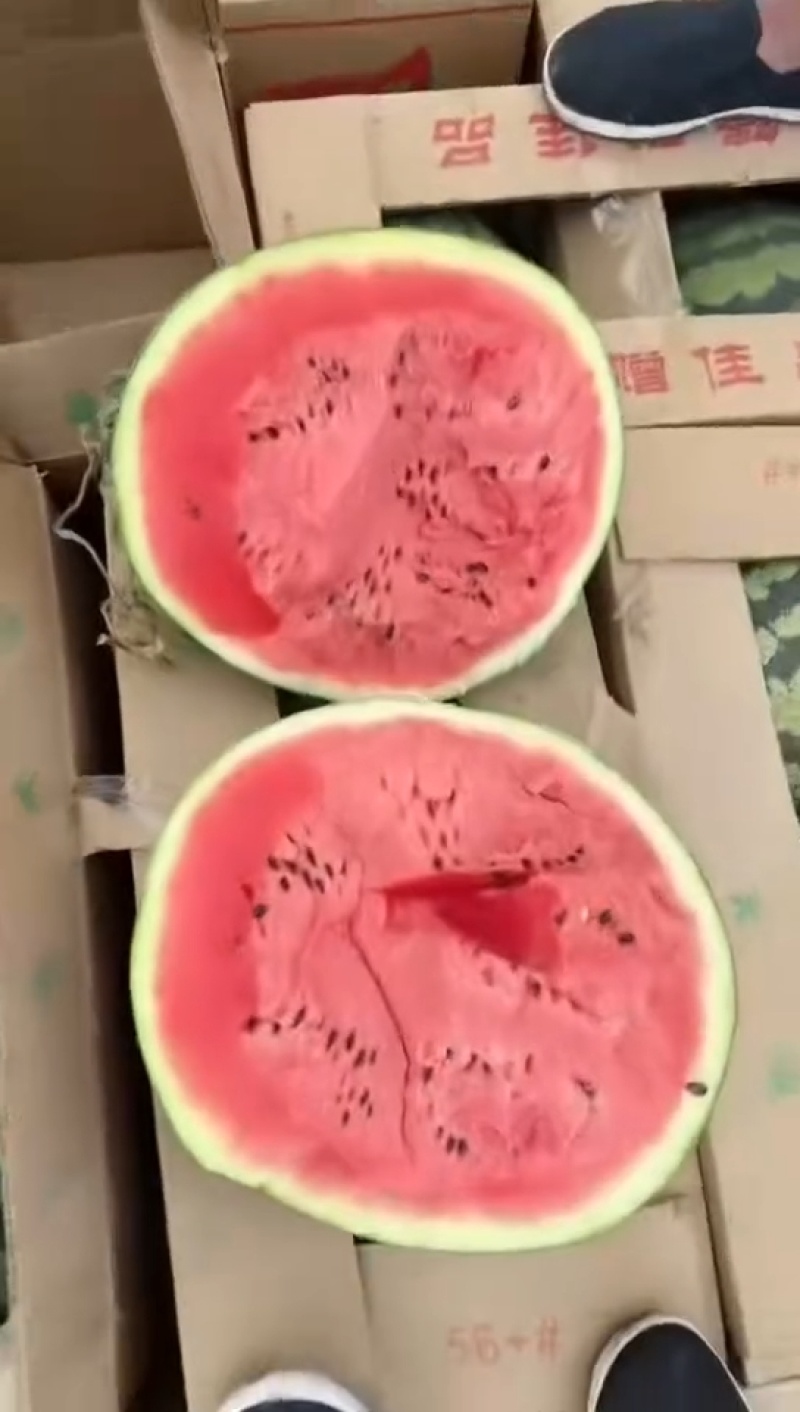 麒麟美都西瓜，产地直供价格优惠质量保障欢迎下单