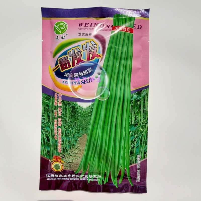 一路发发长豆角种子中熟长绿条豆角种子耐热耐寒春秋播种