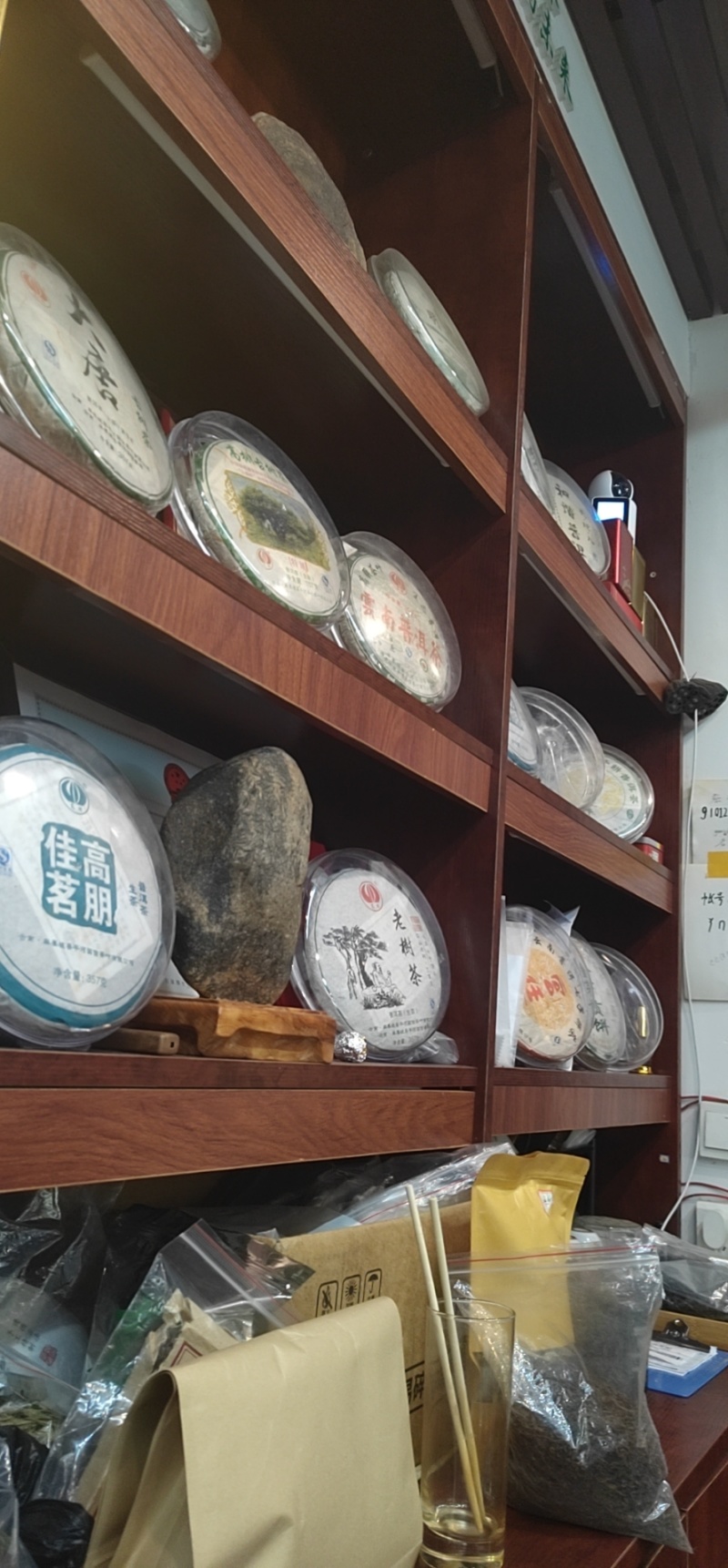 老山地区古树茶