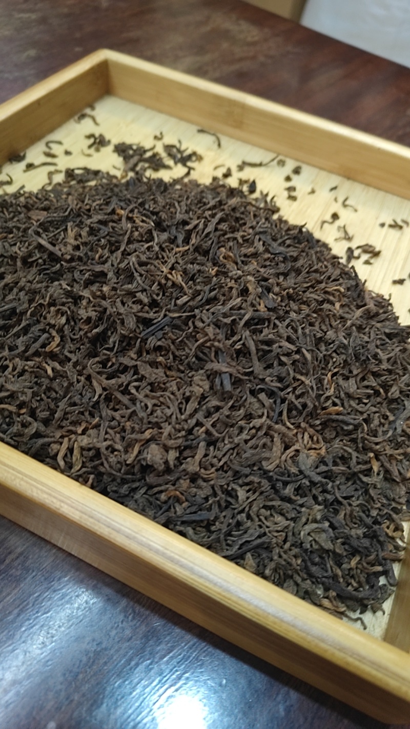 老山地区古树茶
