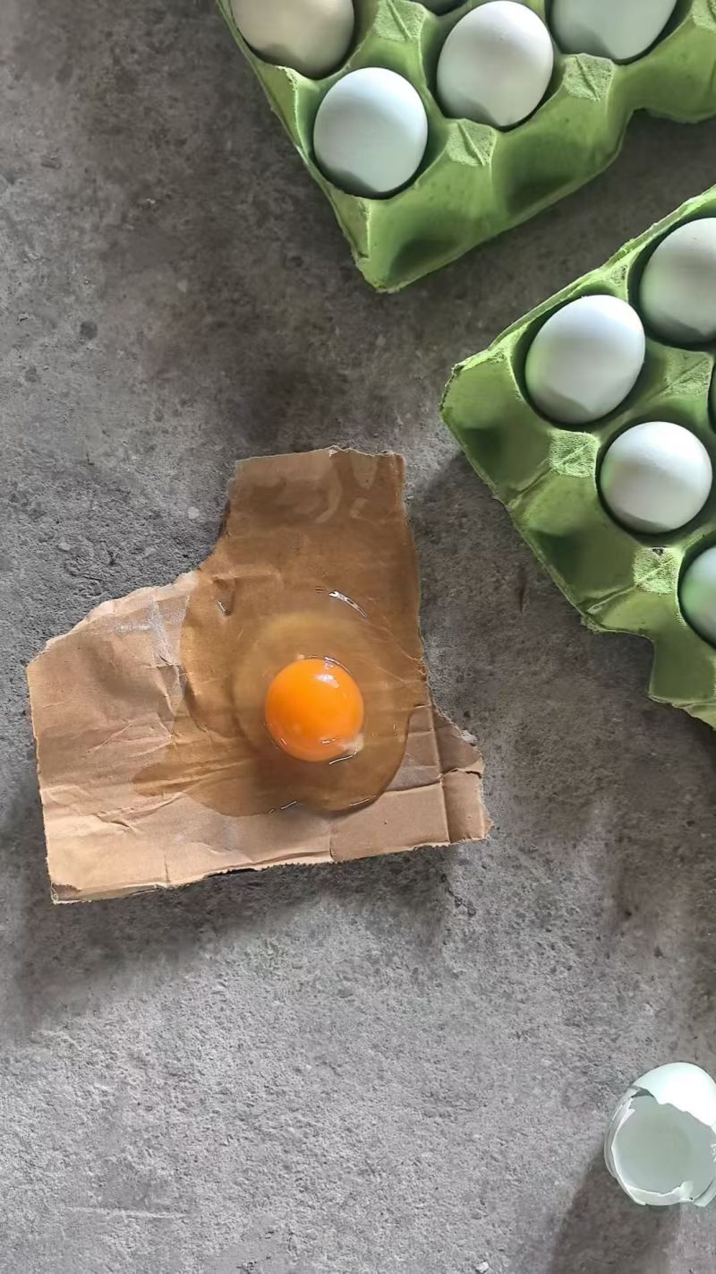 绿壳乌鸡蛋