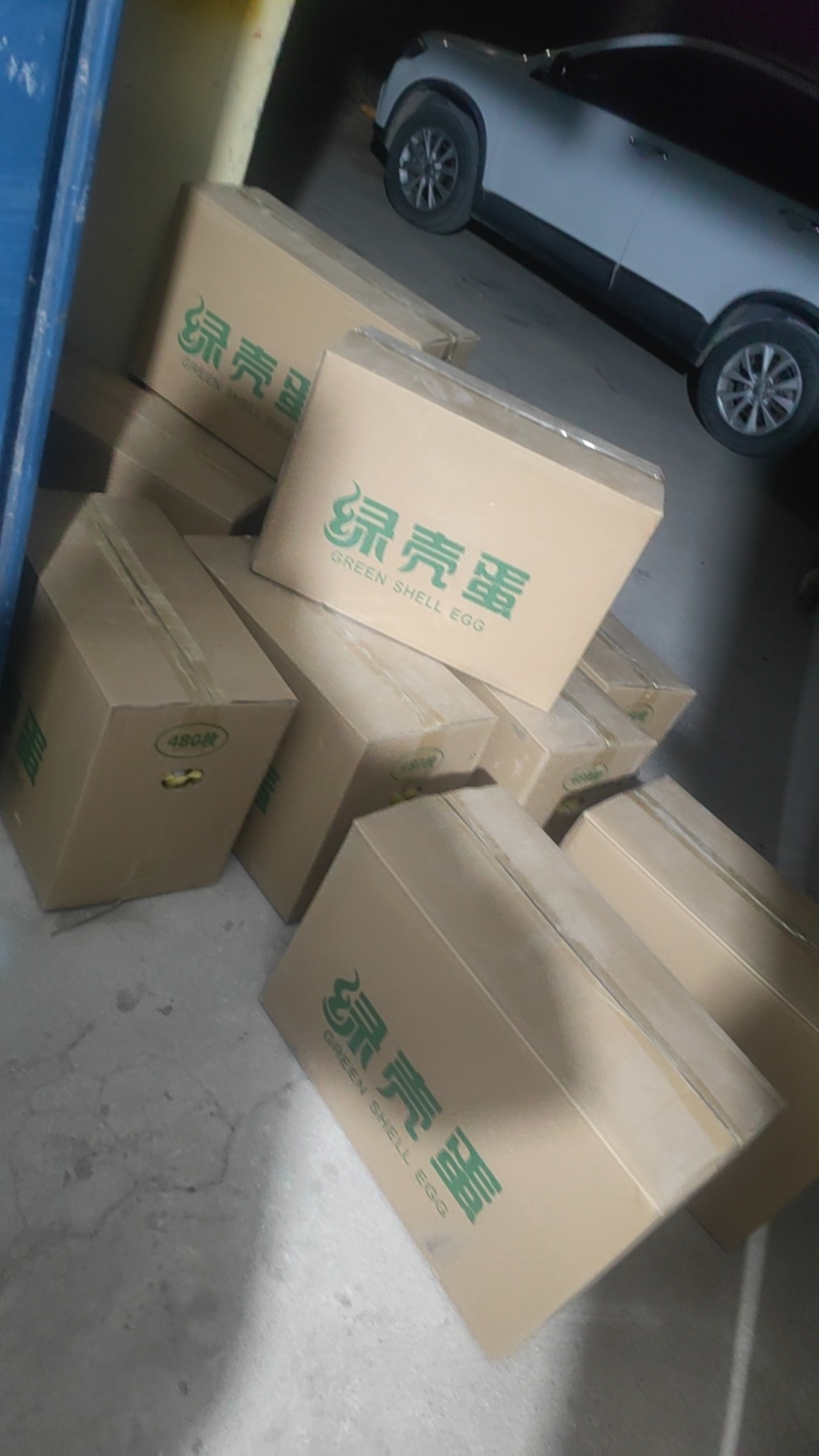 绿壳乌鸡蛋
