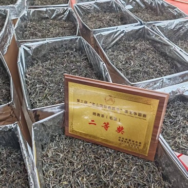 老山地区古树茶